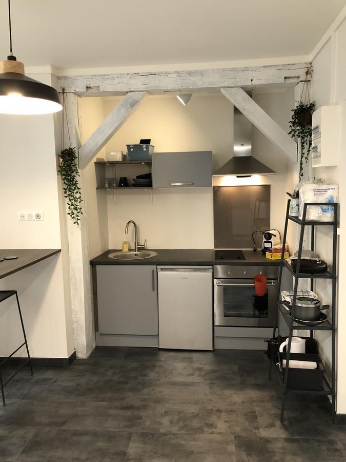 Hypercentre Orleans Apartment Екстериор снимка