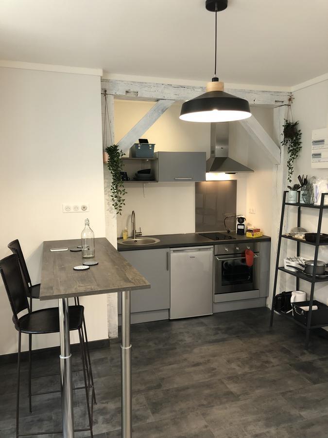 Hypercentre Orleans Apartment Екстериор снимка